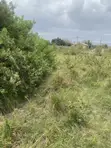 1 Acre Roadside Land for Sale at Oyibi - 4