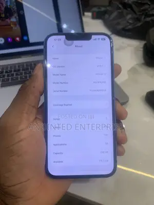 Apple iPhone 13 256GB Blue
