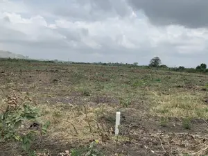 Litigation-Free Half Plots in Dawhenya Zion City