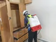 Cleantex Fumigation Services - 5