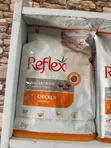 Reflex High Quality Chicken Cat Food 2kg - 2