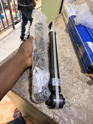 Hyundai Elantra 2017-2018 Rear Shock Absorbers