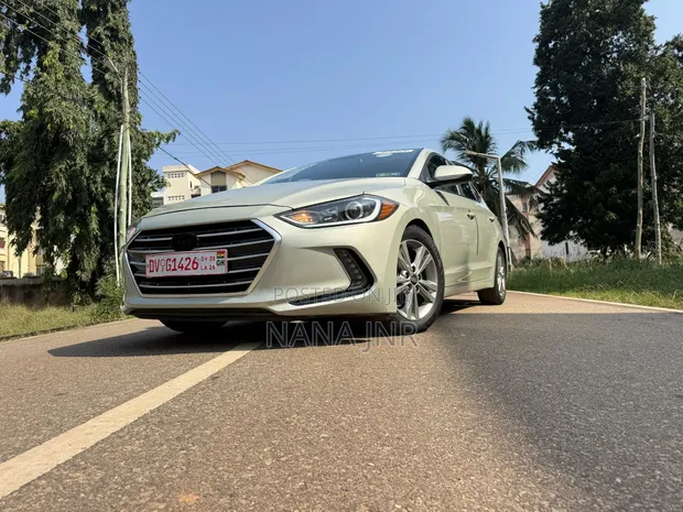 Hyundai Elantra 2017 Gray - 1