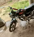 Royal RY125 Motorcycle 2025 Black - 4