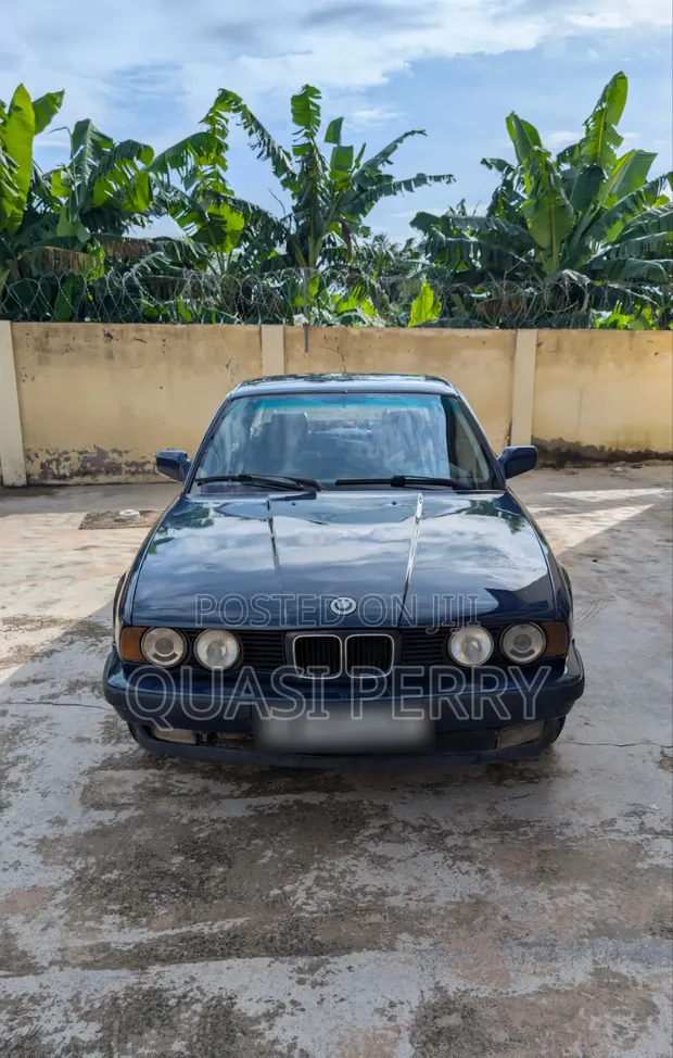 BMW 525i 1995 Blue - 1