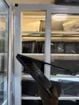 Lenovo ThinkPad T14 Laptop - 10th Gen i5, 16GB RAM, 256GB SSD - 1