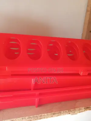 Day Old Chicks Feeders