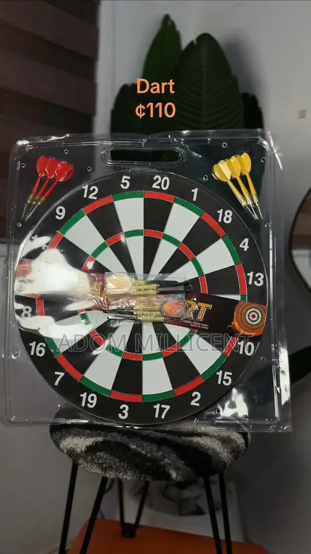 17-Inch Professional Dart Board - 1
