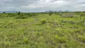 Serviced 70x50ft Half Plot in Shai Hills Corridor