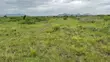 Serviced 70x50ft Half Plot in Shai Hills Corridor - 1