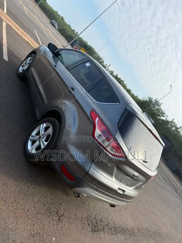 Ford Escape 2014 Silver - 1
