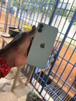 Apple iPhone 12 128GB Green - 1