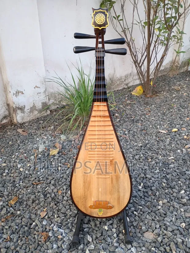 Pipa Traditional Chinese Lute - 1