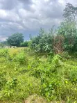 100% Clean Title Land - Chiransa, Off Sokoban Road - 3