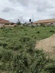 Large Plot of Land for Sale at Dompease-Aprabo, Kumasi - 5