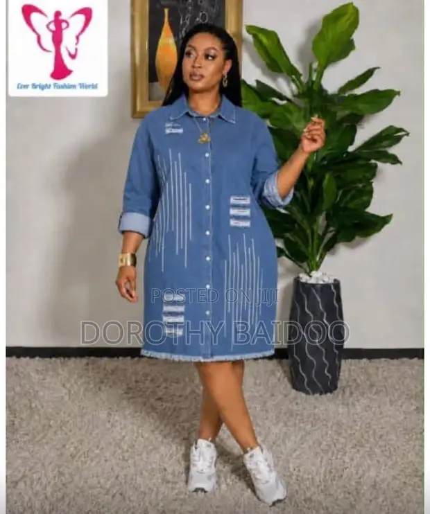 Zara Jacket Dress - 1
