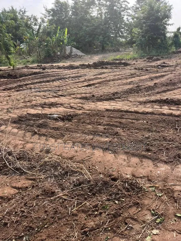 Affordable Lands for Sale at Amasaman - 1