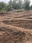 Affordable Lands for Sale at Amasaman - 1