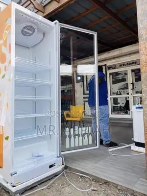Zara 600bf Single Door Beverage Cooler (591L)