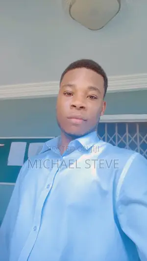 Driver CV - Michael