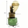 Commercial Juicer - 2