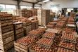 Fresh Farm Eggs for Sale - 1