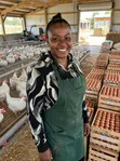 Fresh Farm Eggs for Sale - 3