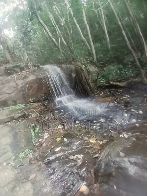 2 Acre Land for Sale at Tepa - Ashanti Region