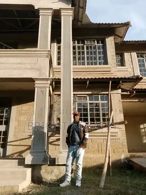 Bright Ventures Parapet Design Services