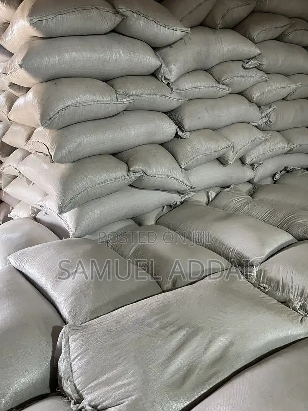 Quality Maize for Sale - Kintampo - 1