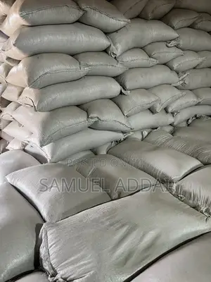 Quality Maize for Sale - Kintampo