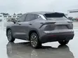 Jetour Dashing 1.6 Petrol FWD 2022 Gray - 5