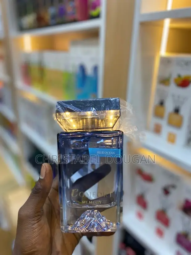 Air Freshener Diffuser - 1