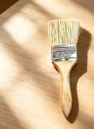 50mm Paint Brush Set - 10 Pieces