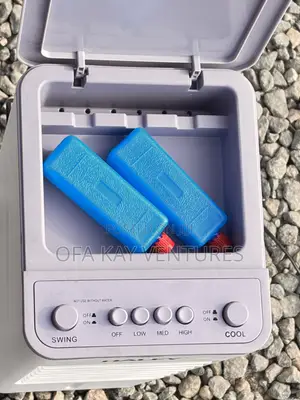 Haley 6L 3-Speed Air Cooler
