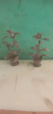 Coconut Shell Flowers - Decorative Pieces - 2