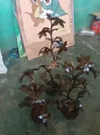 Coconut Shell Flowers - Decorative Pieces - 3