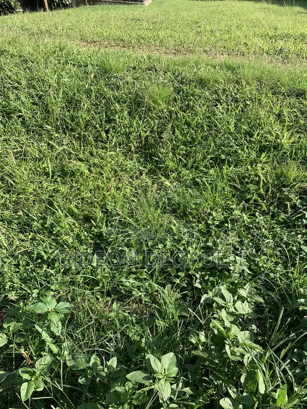 Rans Real Estate | 18 Acres Land for Sale - 1