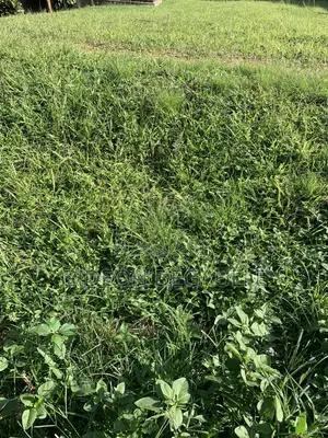 Rans Real Estate | 18 Acres Land for Sale