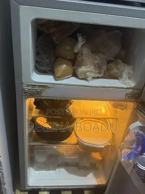 Delron 2-Door Frost Free Refrigerator