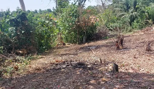 Plot of Land at Biemso No 1 - 1