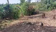 Plot of Land at Biemso No 1 - 1