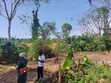 Plot of Land at Biemso No 1 - 2