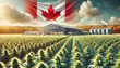 Canadian/Foreign Loud - All Strains - 2