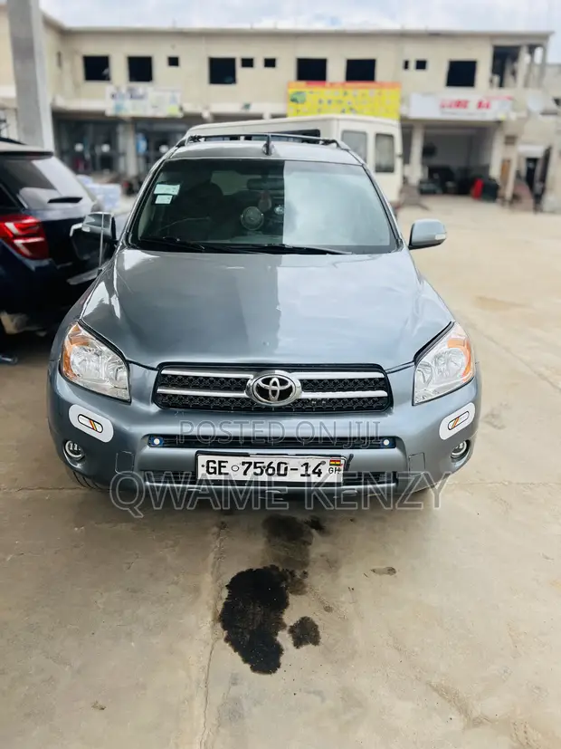 Toyota RAV4 2008 Gray - 1