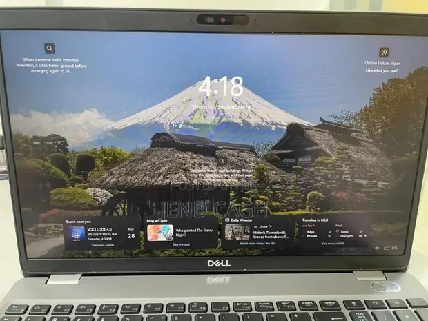 Dell Latitude 5510 Laptop - 16GB RAM, 256GB SSD, Core i5 - 1