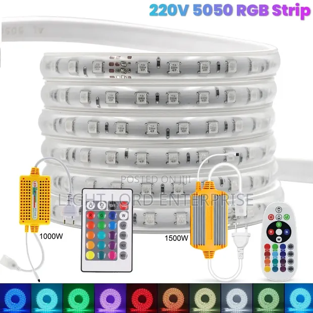 Xray Zealand Multi-Color Rope Light - 1
