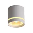 10W Round Surface Mount Spotlight - 1