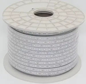 Echo Multi-Color Rope Light 100m - Manual Control