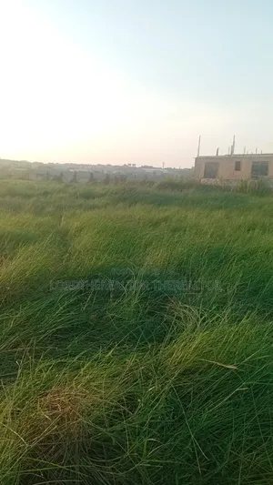 Half Plot for Sale in Tetegu